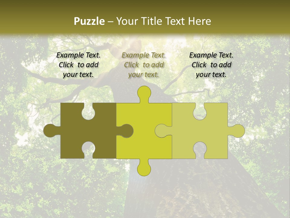 A Tree With The Sun Shining Through It PowerPoint Template