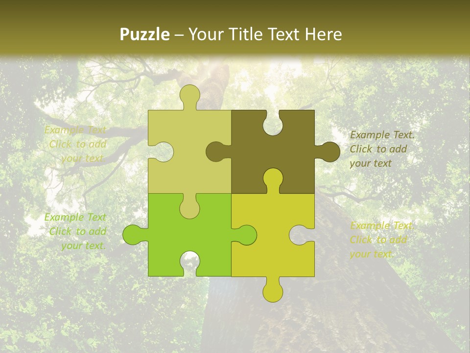 A Tree With The Sun Shining Through It PowerPoint Template