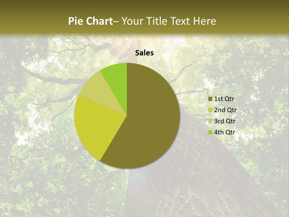 A Tree With The Sun Shining Through It PowerPoint Template