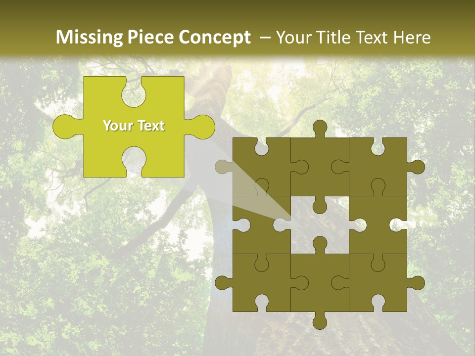 A Tree With The Sun Shining Through It PowerPoint Template