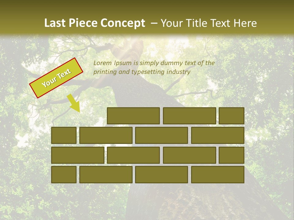 A Tree With The Sun Shining Through It PowerPoint Template