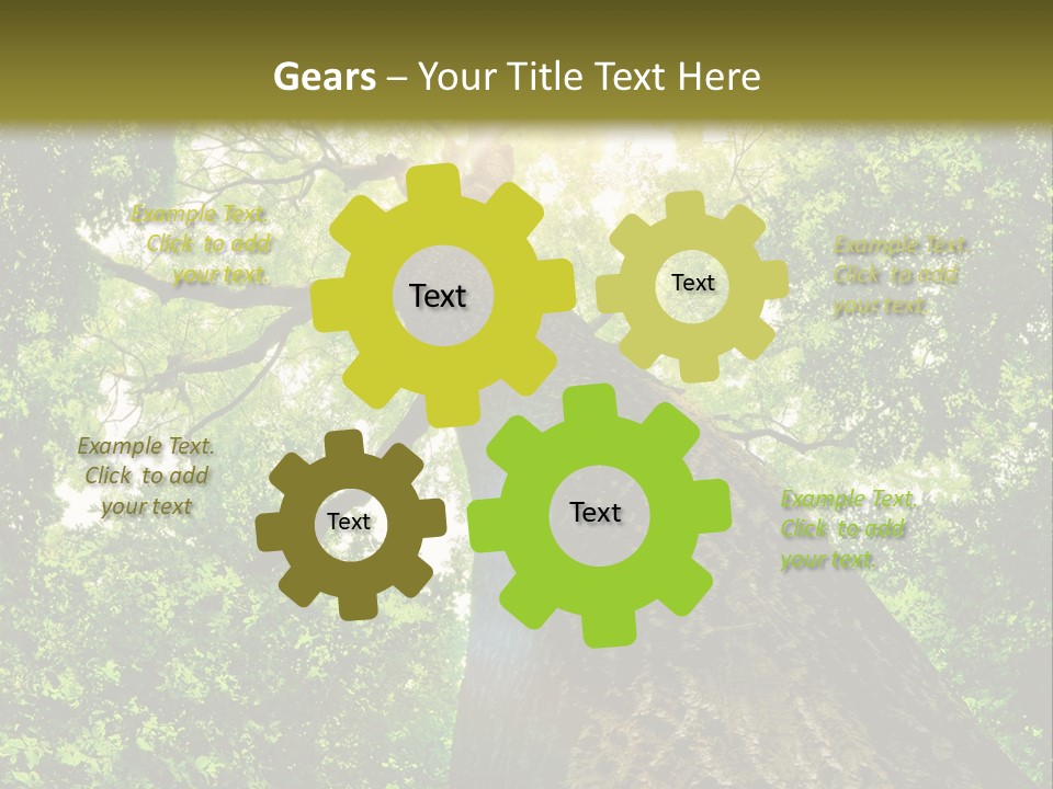 A Tree With The Sun Shining Through It PowerPoint Template
