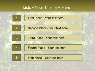 A Tree With The Sun Shining Through It PowerPoint Template