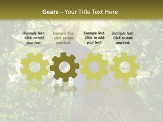 A Tree With The Sun Shining Through It PowerPoint Template