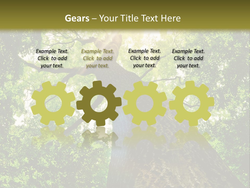 A Tree With The Sun Shining Through It PowerPoint Template