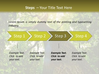 A Tree With The Sun Shining Through It PowerPoint Template