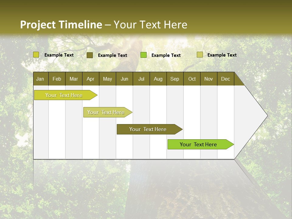 A Tree With The Sun Shining Through It PowerPoint Template