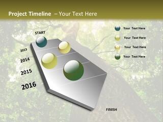 A Tree With The Sun Shining Through It PowerPoint Template