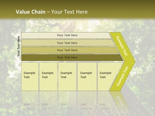 A Tree With The Sun Shining Through It PowerPoint Template