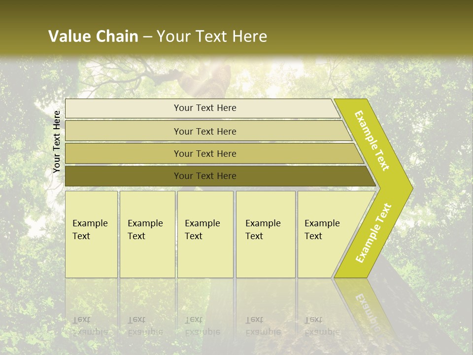 A Tree With The Sun Shining Through It PowerPoint Template