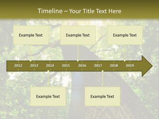 A Tree With The Sun Shining Through It PowerPoint Template