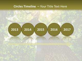 A Tree With The Sun Shining Through It PowerPoint Template