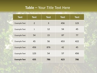 A Tree With The Sun Shining Through It PowerPoint Template