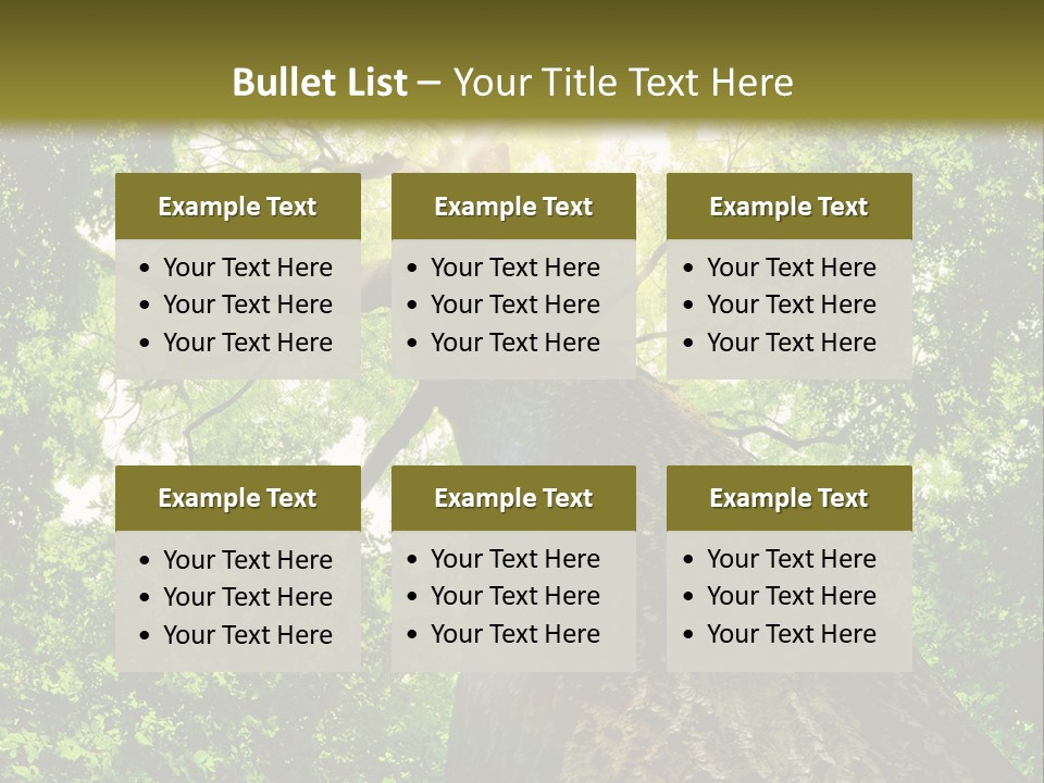 A Tree With The Sun Shining Through It PowerPoint Template