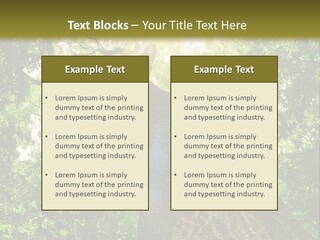 A Tree With The Sun Shining Through It PowerPoint Template