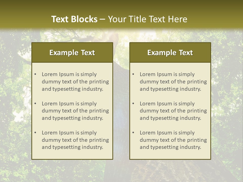 A Tree With The Sun Shining Through It PowerPoint Template