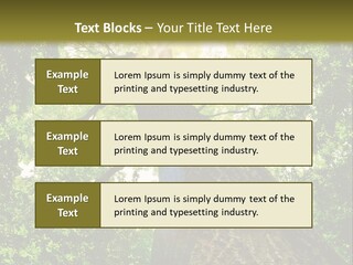 A Tree With The Sun Shining Through It PowerPoint Template