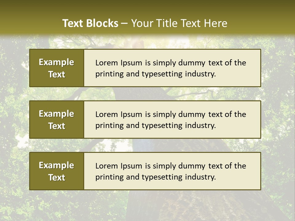 A Tree With The Sun Shining Through It PowerPoint Template