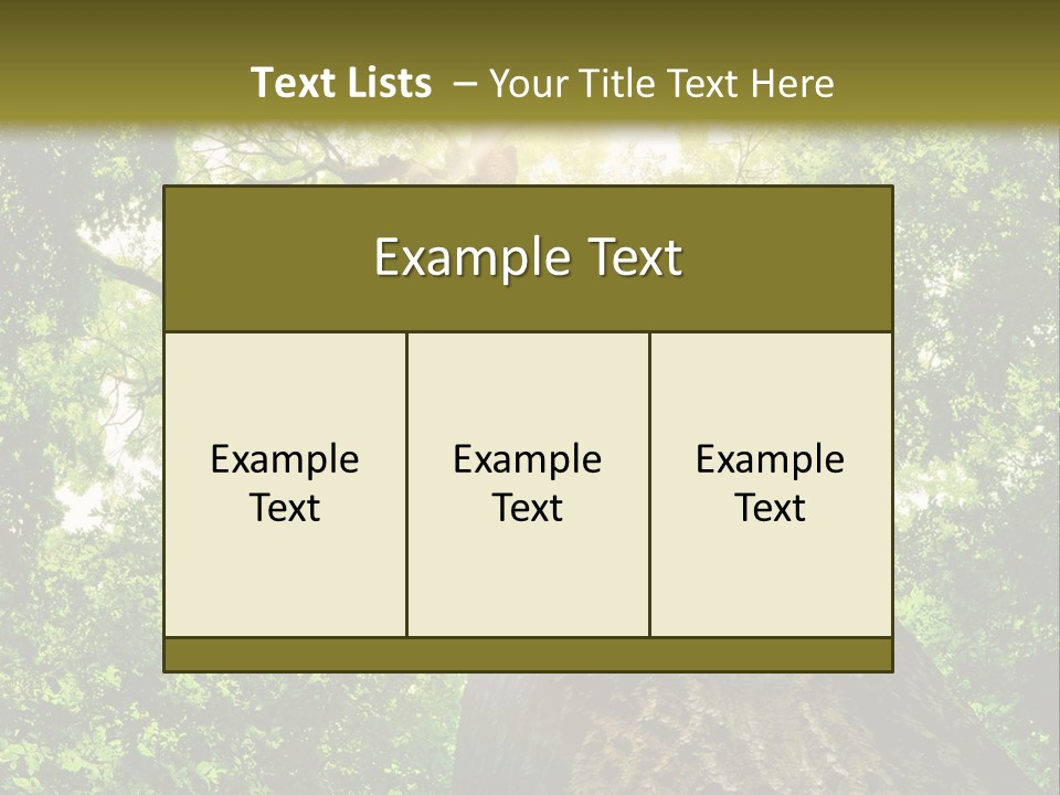 A Tree With The Sun Shining Through It PowerPoint Template