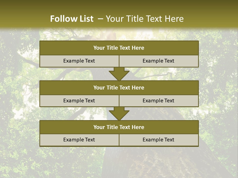 A Tree With The Sun Shining Through It PowerPoint Template