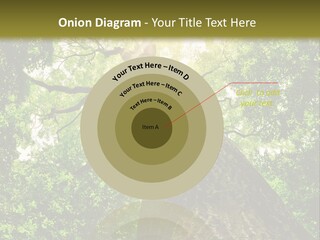 A Tree With The Sun Shining Through It PowerPoint Template
