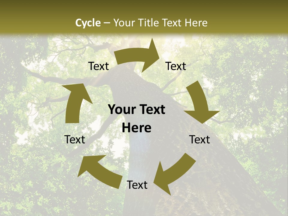 A Tree With The Sun Shining Through It PowerPoint Template