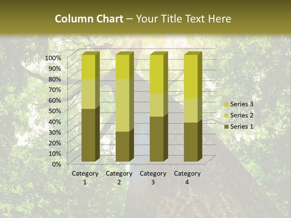 A Tree With The Sun Shining Through It PowerPoint Template