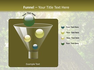 A Tree With The Sun Shining Through It PowerPoint Template