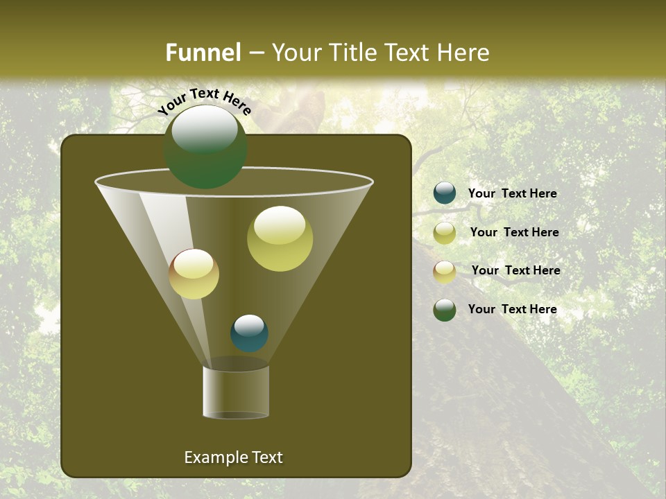 A Tree With The Sun Shining Through It PowerPoint Template