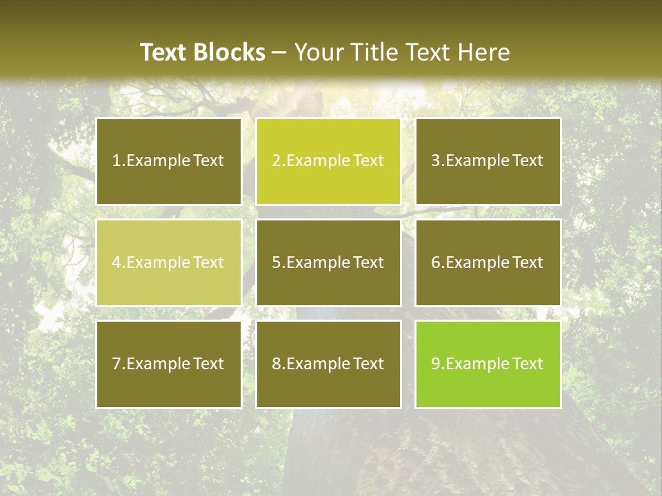 A Tree With The Sun Shining Through It PowerPoint Template