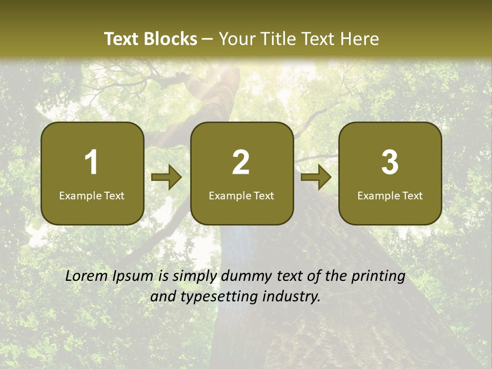 A Tree With The Sun Shining Through It PowerPoint Template