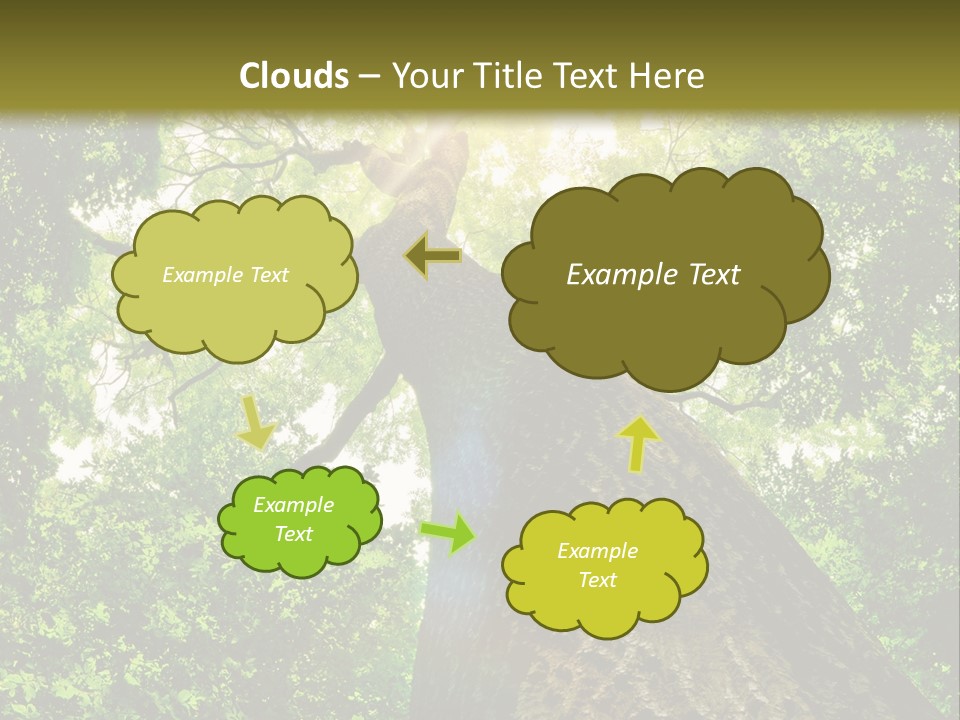 A Tree With The Sun Shining Through It PowerPoint Template