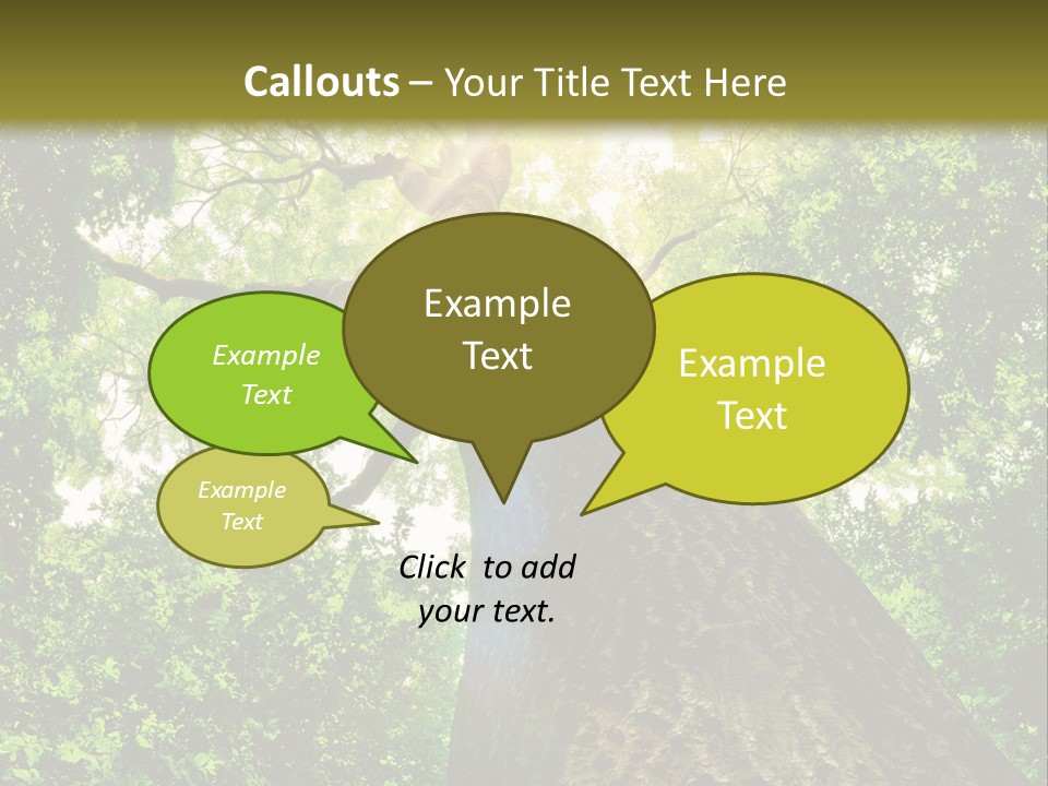 A Tree With The Sun Shining Through It PowerPoint Template