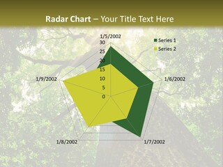 A Tree With The Sun Shining Through It PowerPoint Template