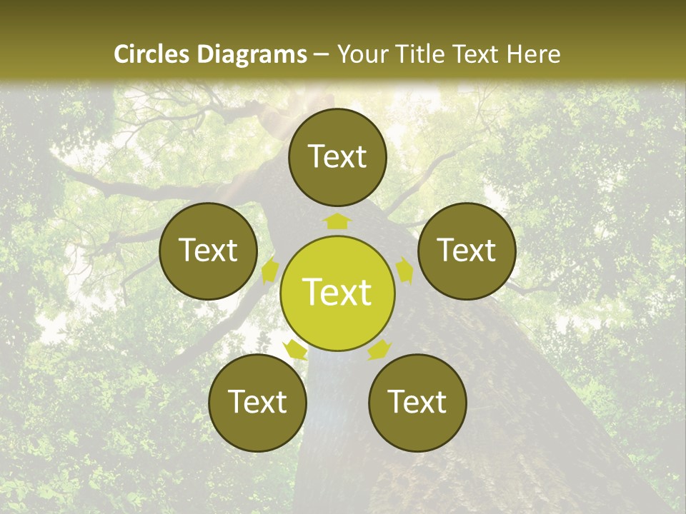 A Tree With The Sun Shining Through It PowerPoint Template