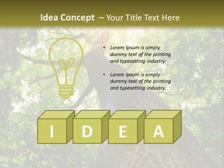 A Tree With The Sun Shining Through It PowerPoint Template