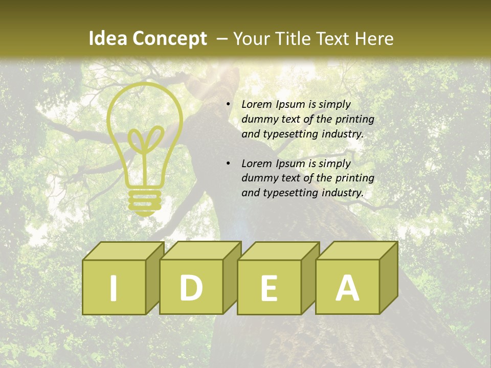 A Tree With The Sun Shining Through It PowerPoint Template