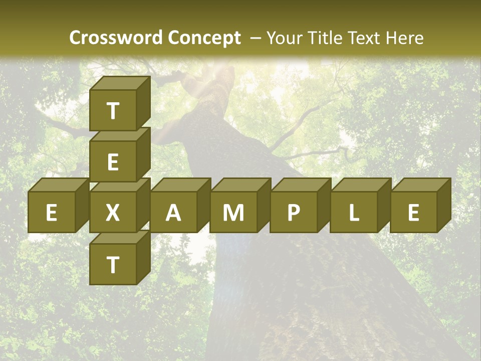 A Tree With The Sun Shining Through It PowerPoint Template