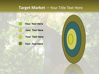 A Tree With The Sun Shining Through It PowerPoint Template