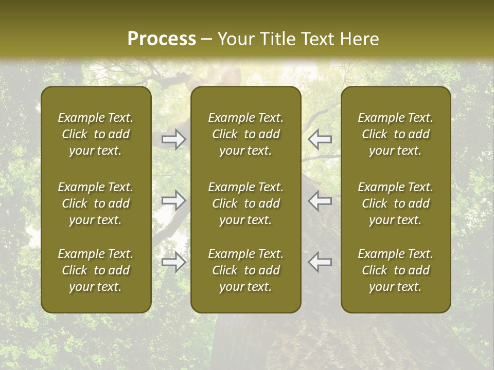 A Tree With The Sun Shining Through It PowerPoint Template