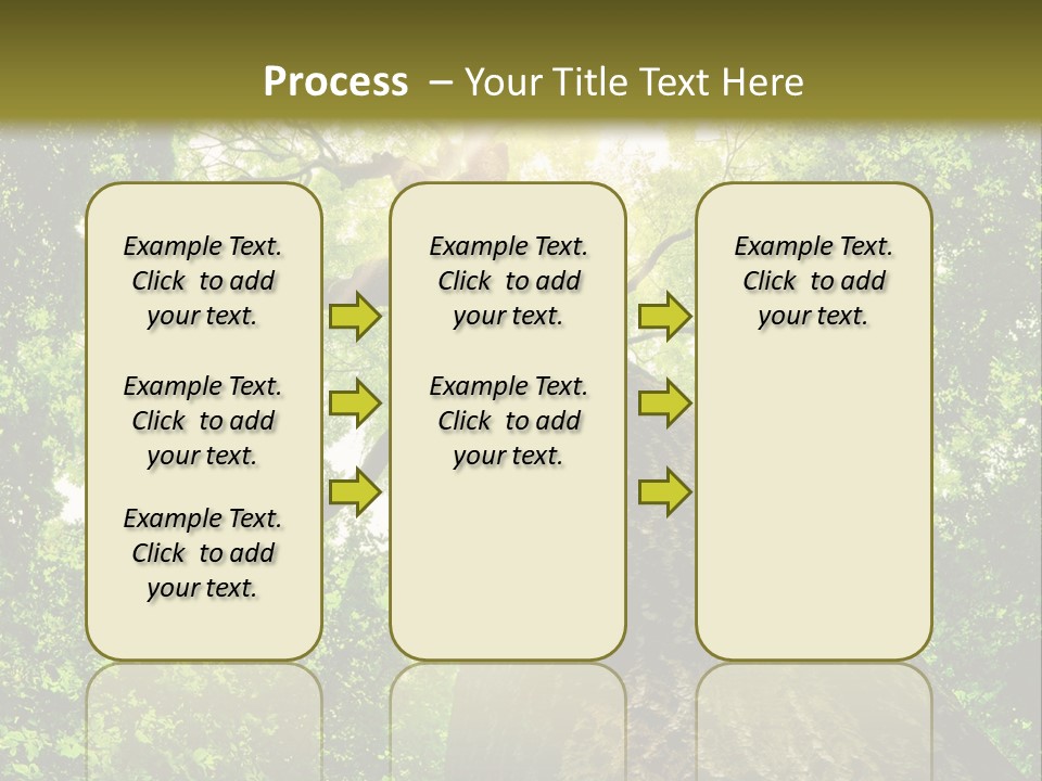 A Tree With The Sun Shining Through It PowerPoint Template