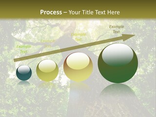 A Tree With The Sun Shining Through It PowerPoint Template
