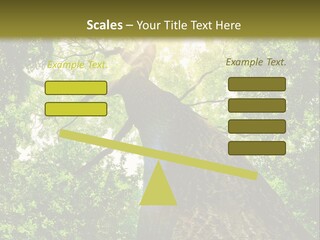 A Tree With The Sun Shining Through It PowerPoint Template