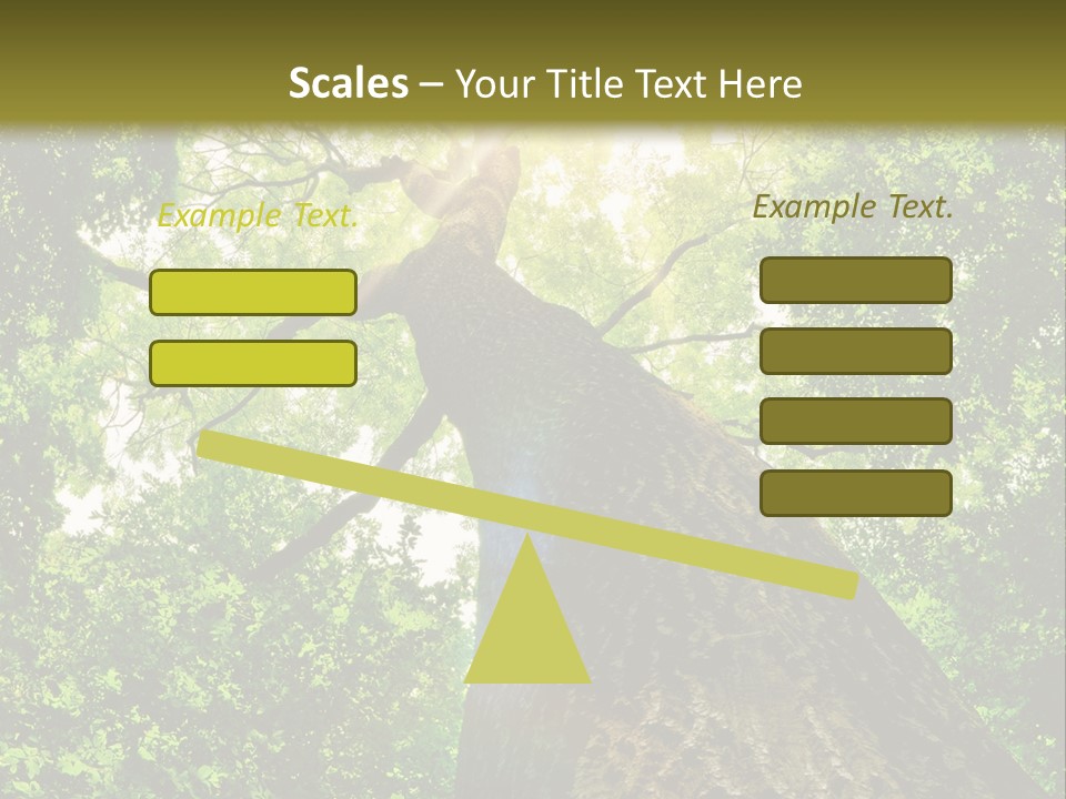 A Tree With The Sun Shining Through It PowerPoint Template