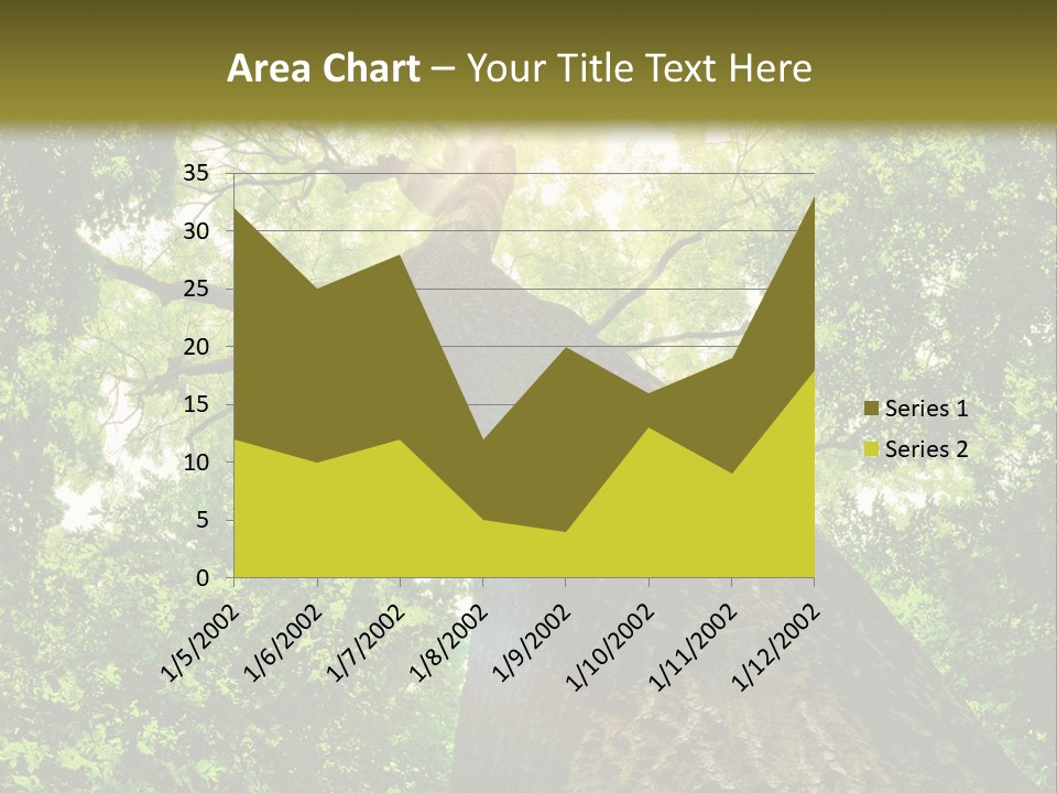 A Tree With The Sun Shining Through It PowerPoint Template