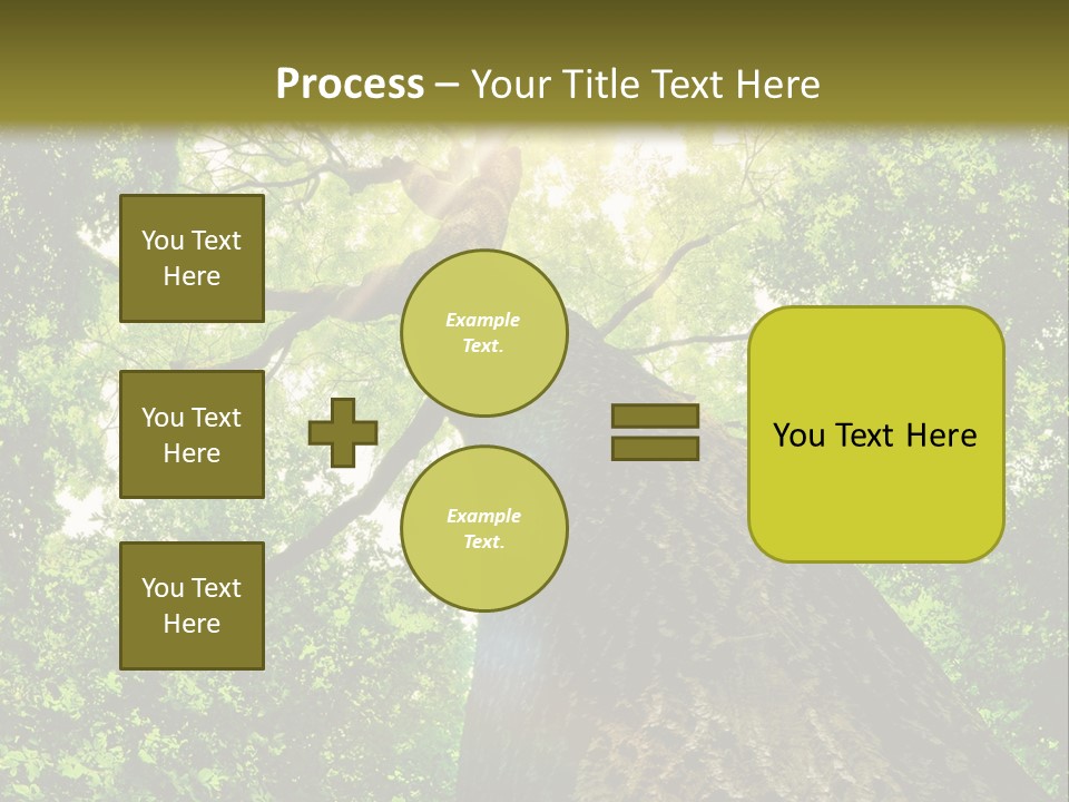 A Tree With The Sun Shining Through It PowerPoint Template