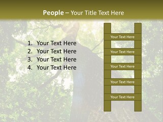 A Tree With The Sun Shining Through It PowerPoint Template