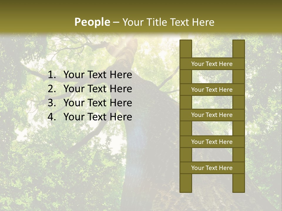 A Tree With The Sun Shining Through It PowerPoint Template