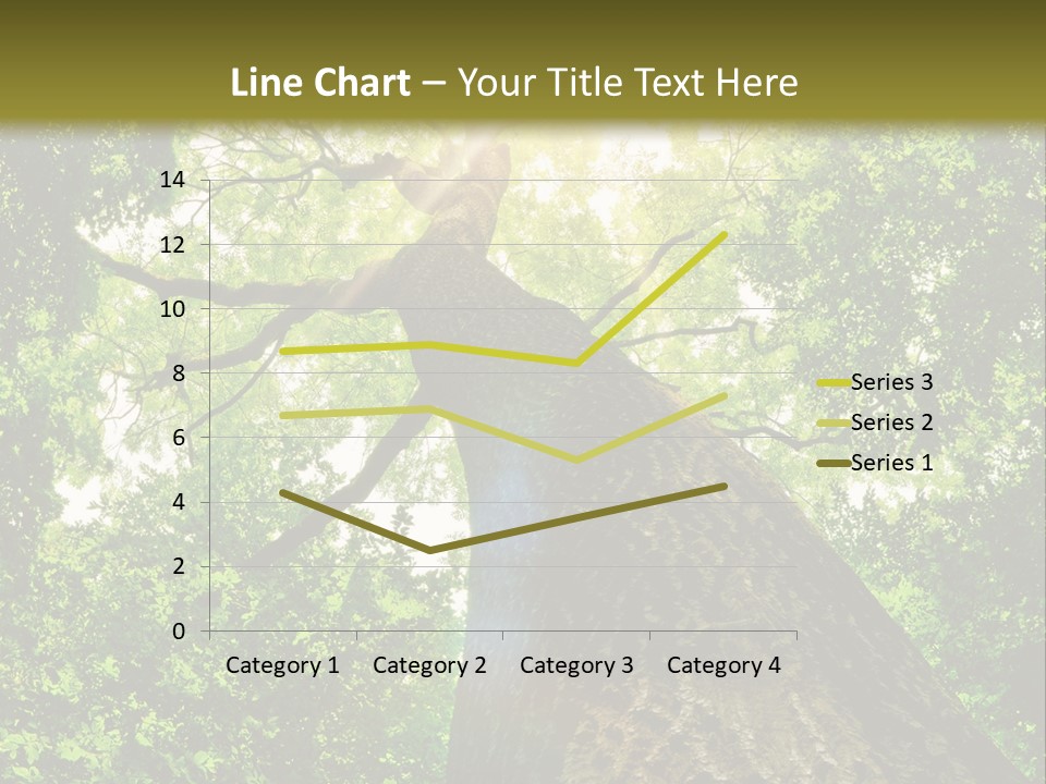 A Tree With The Sun Shining Through It PowerPoint Template