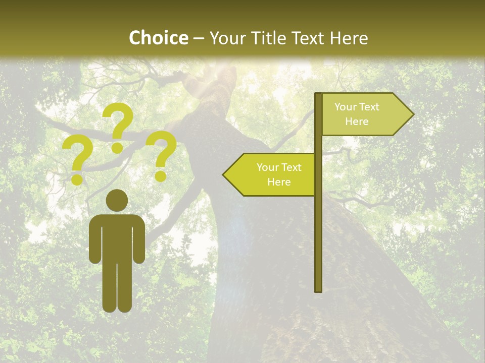 A Tree With The Sun Shining Through It PowerPoint Template